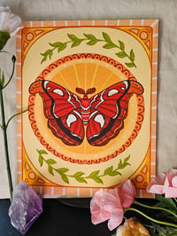 Image 1 of Atlas Moth || Print