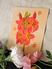 Image 2 of Pink Lilies || Print