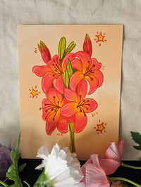 Image 1 of Pink Lilies || Print