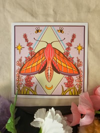 Image 1 of White-lined Sphinx Moth || Print