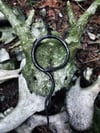 Serpent Ouroboros