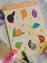 Image 1 of Snail Friends || Sticker Sheet