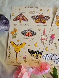 Image 2 of Moth Sticker Sheets