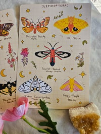 Image 3 of Moth Sticker Sheets