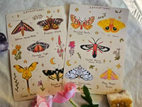 Image 1 of Moth Sticker Sheets