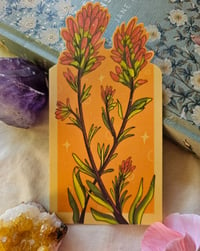 Image 1 of Indian Paint Brush || Bookmark