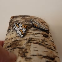 Image 3 of Magpie Moth