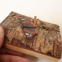 Image 3 of Red Admiral