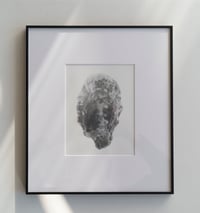 Image 1 of Ostra, 2023