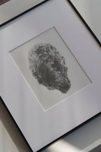 Image 2 of Ostra, 2023
