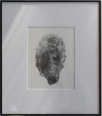 Image 3 of Ostra, 2023