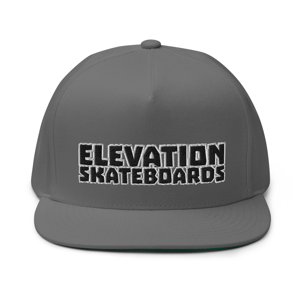 Team Logo embroidered snapback 