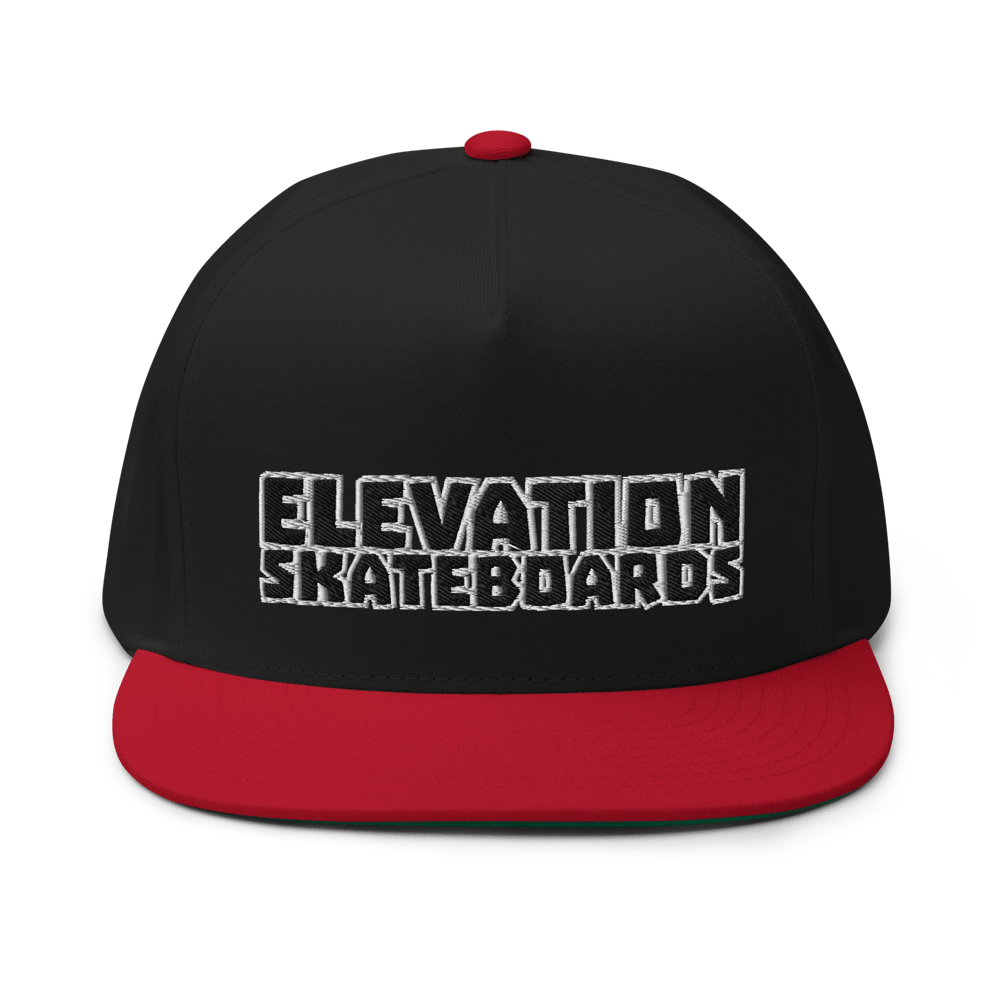 Team Logo embroidered snapback 