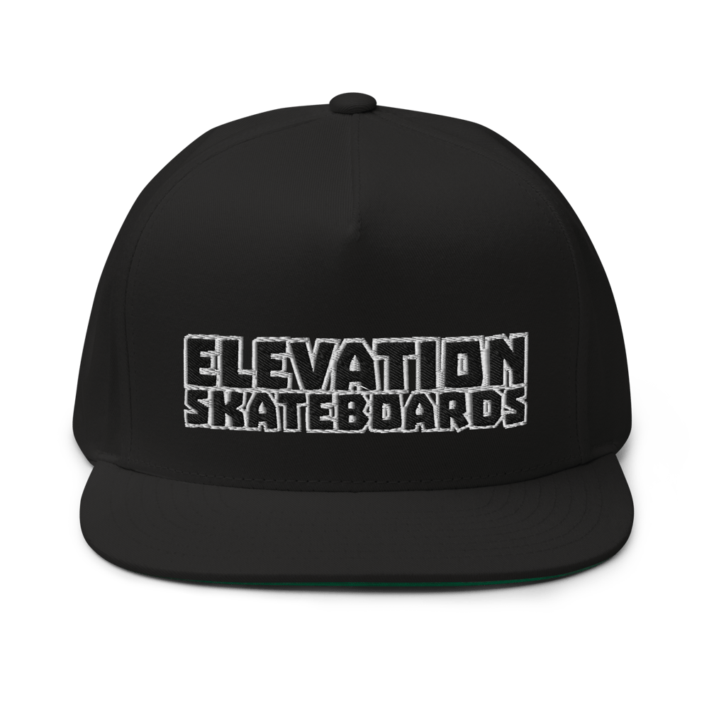 Team Logo embroidered snapback 