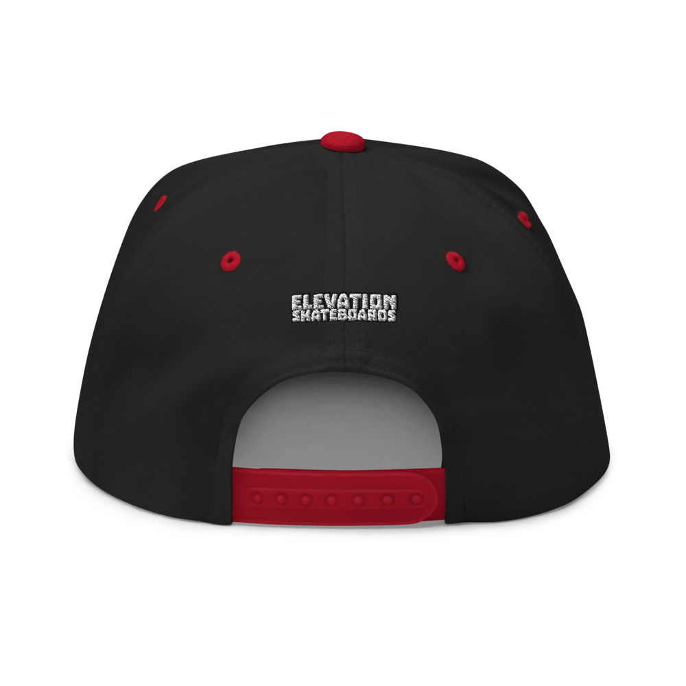 Team Logo embroidered snapback 