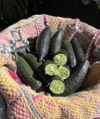 Organic California Finger Limes 
