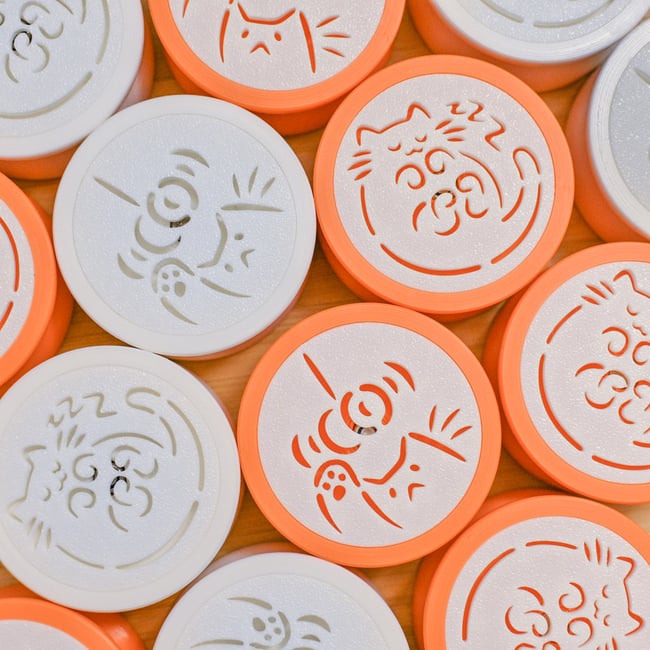 Kasm with Dexter's caps