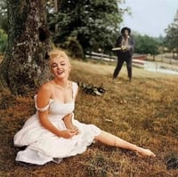 Marilyn Massacre