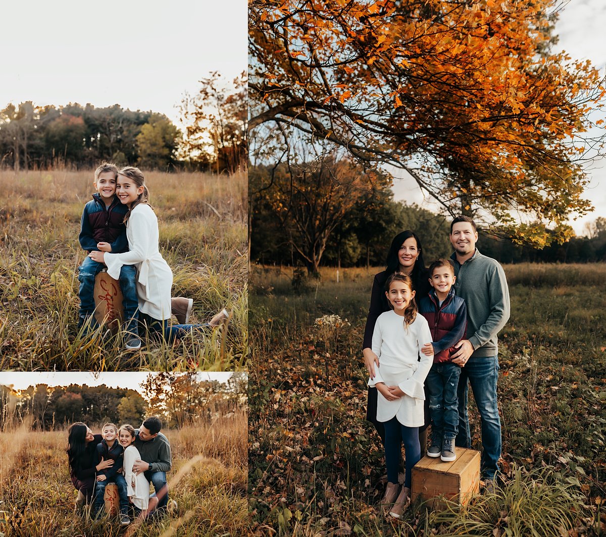 Image of FALL MINI SESSIONS 