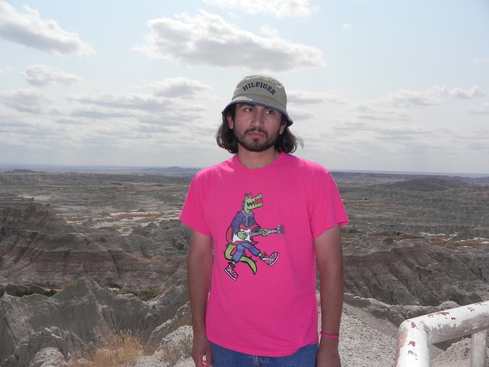 Albert the 2014 Alligator (PINK)