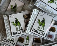 Image 1 of SALEM - SILK ROAD ENAMEL PIN