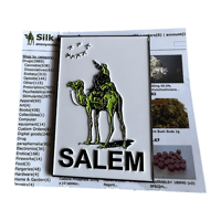 Image 2 of SALEM - SILK ROAD ENAMEL PIN