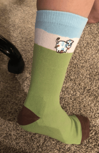 Image 2 of ORIGINAL - Cow Pooping Bucket Hat + Socks