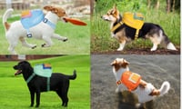 Image 5 of Best Friend Backpack 