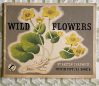 Image 1 of Wild Flowers Puffin Picture Book