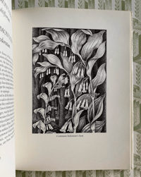 Image 4 of Woodland Plants by Heather and Robin Tanner