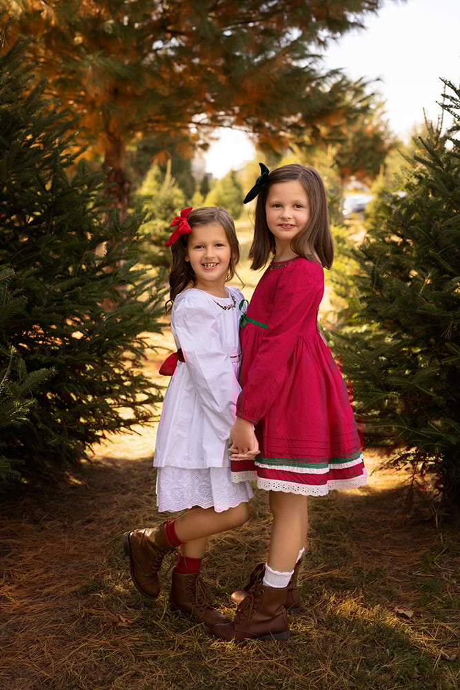 Image of Tree Farm Family Sessions