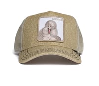 Image 2 of Spoiled Gold Trucker Hat