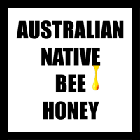 Image 2 of Australian Native Bee Honey