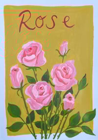 Rose