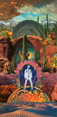 Image 3 of Desert Fox Blues Deluxe Album Presale