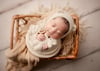 MINI (wrapped) Newborn Session