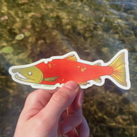 Image 1 of sockeye salmon sticker