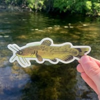 Image 1 of brown bullhead sticker