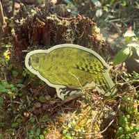 Image 1 of kākāpō sticker