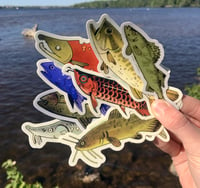 Image 1 of THE BIG CATCH - fish sticker bundles