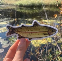 Image 1 of vaporwave rainbow trout sticker