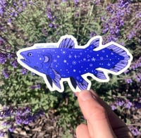 Image 1 of starry coelacanth sticker