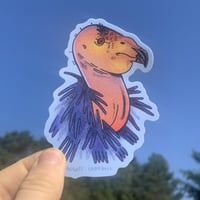 Image 1 of california condor sticker - portrait