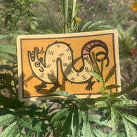 Image 2 of long possum sticker