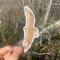 Image 2 of barn owl sticker