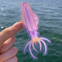 Image 2 of transparent bigfin reef squid sticker