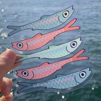 Image 2 of transparent pride fishies sticker