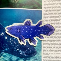 Image 2 of starry coelacanth sticker