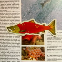 Image 2 of sockeye salmon sticker