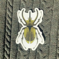 Image 1 of atlas beetle sticker